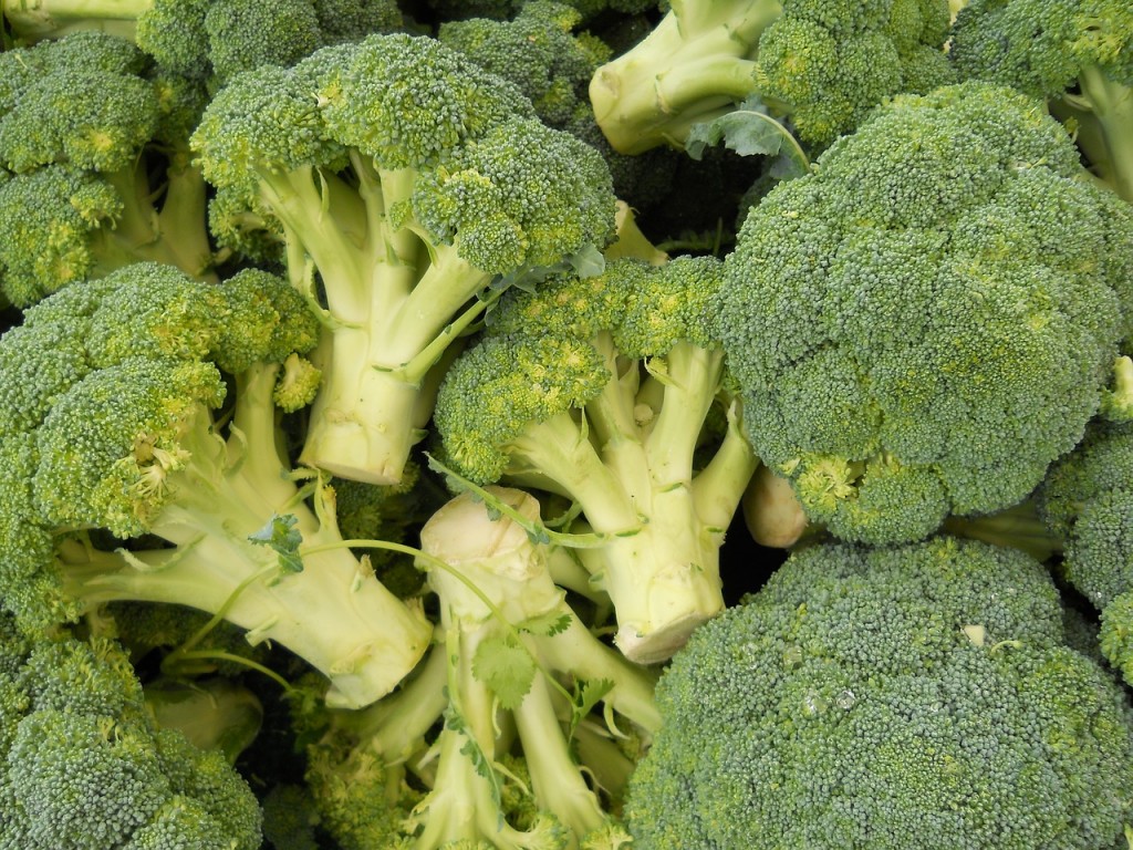 brokoli-hrana