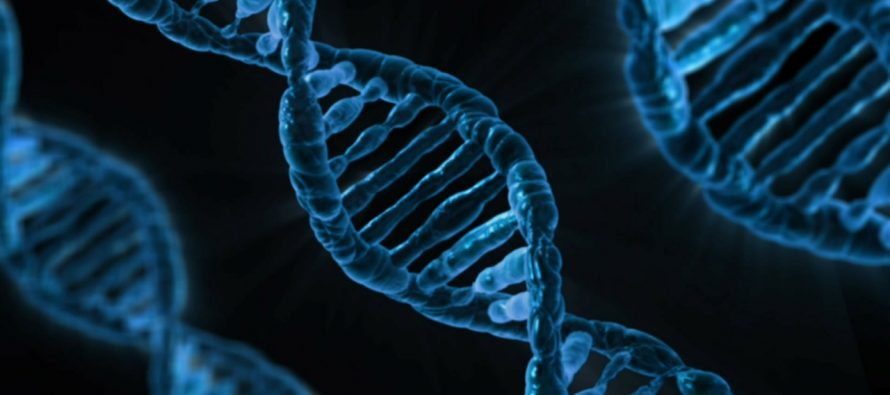 Šta utiče na mutaciju gena?