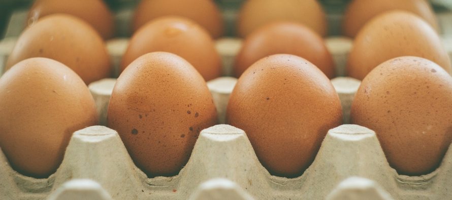 Zašto bi trebalo redovno jesti jaja?