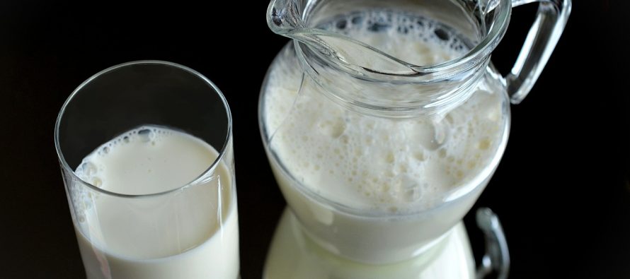 Da li je dobro popiti šolju mleka pred spavanje?