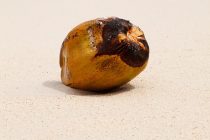 Zanimljiva istorija: Poruka na kokosovoj kori spasla živote