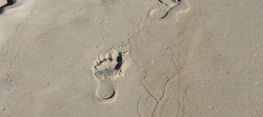 U Severnoj Americi otkriveni otisci ljudskih stopala stari 13.000 godina
