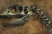 Otkriven fosil najčudnijeg dinosaurusa