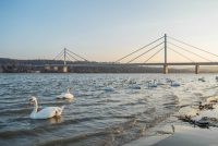 6 zanimljivosti o Dunavu
