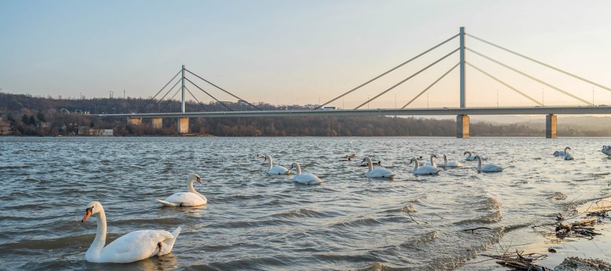 6 zanimljivosti o Dunavu