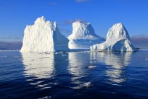 Grendalnd gubi led sedam puta brže nego pre tri decenije