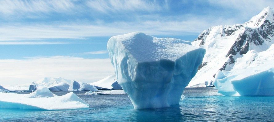 Antarktik je pre 90 miliona godina  bio prekriven tropskim šumama