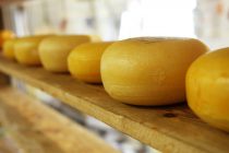 Proizvođači sireva istražuju da li muzika može da utiče na ukus sira